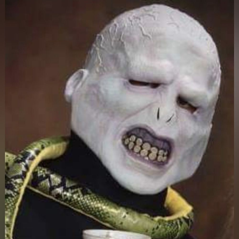 📷💚Harry Potter Voldemort Robe & Full Mask Costume Set Adult One Size - Picture 5 of 5